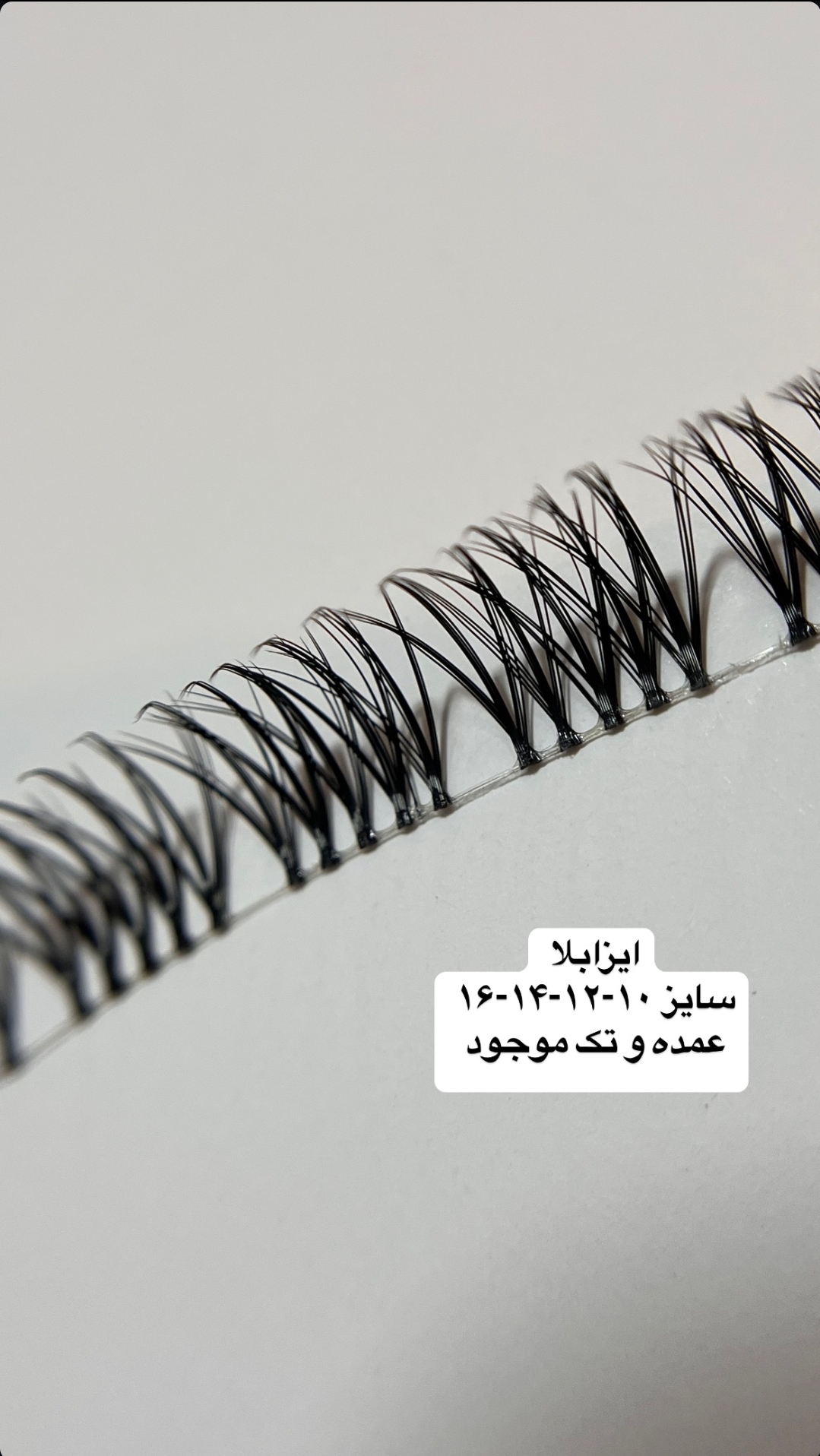 مژه ایزابلا