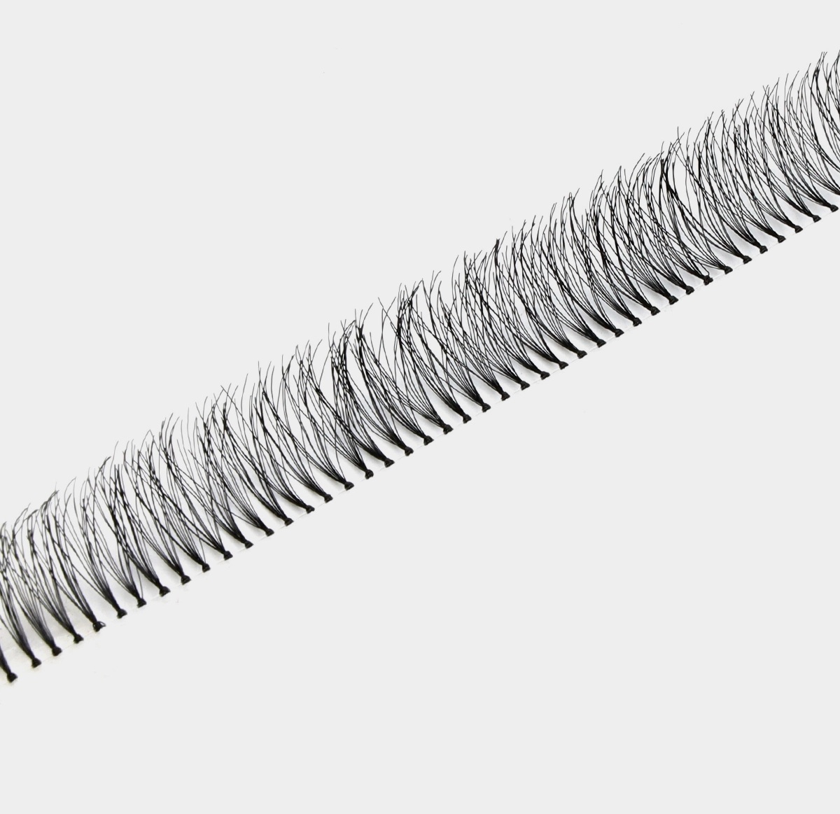 مژه ریسه ای